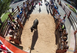 20171006-encierro tradicional_0.JPG