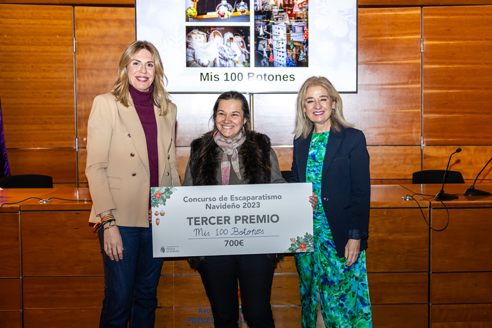 Premios escaparatismo navideño