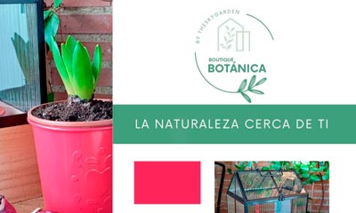 Boutique Botánica