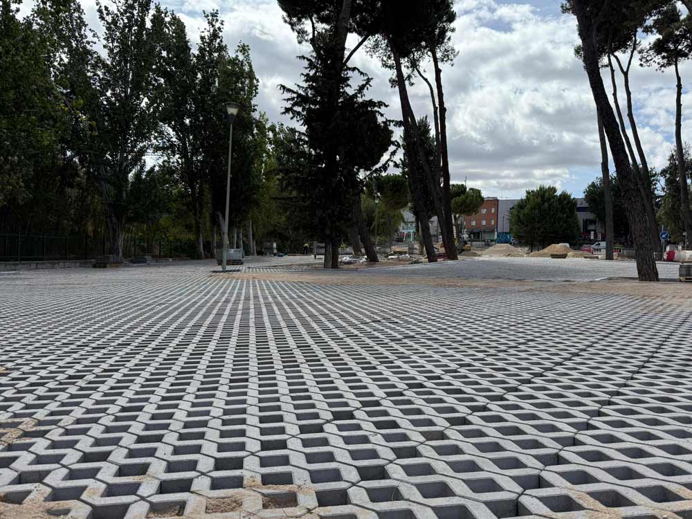 Prados de Torrejón calzada