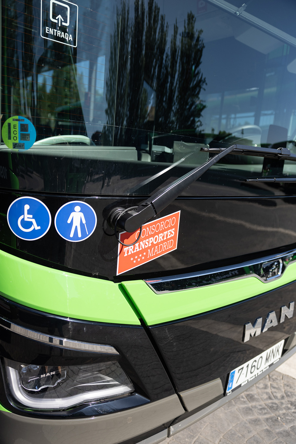 Autobuses
