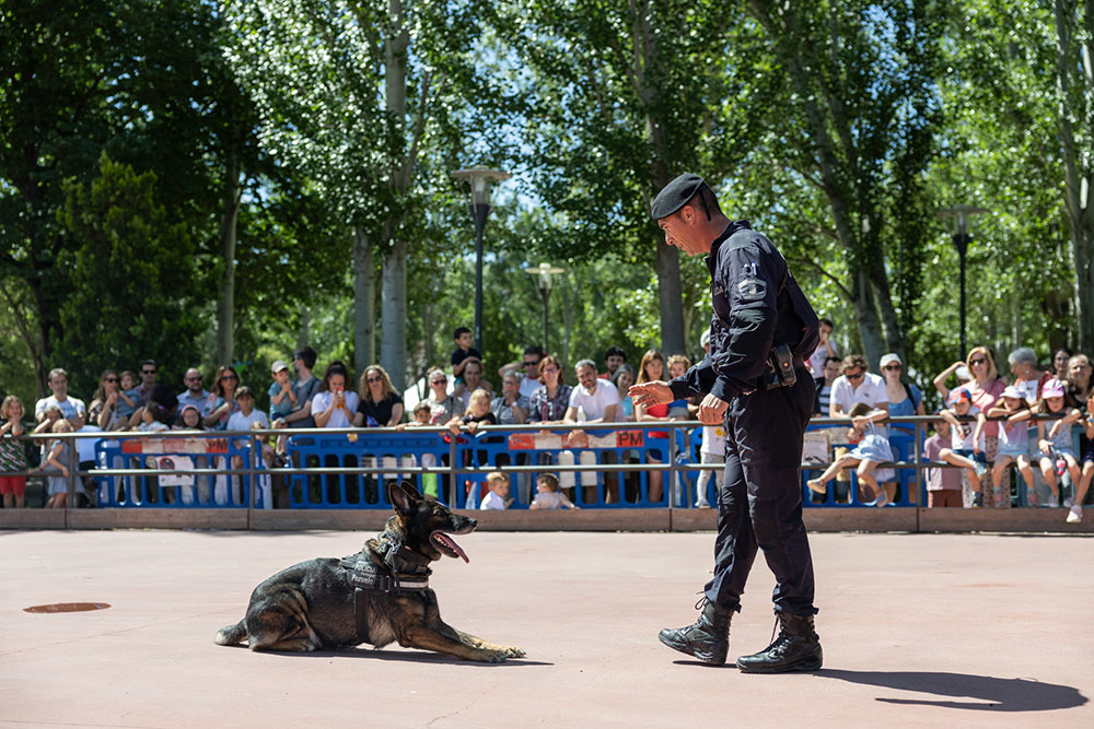 Celebración Día del Niño 2024