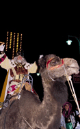 La Cabalgata de Sus Majestades los Reyes Magos (Se abre en ventana nueva)