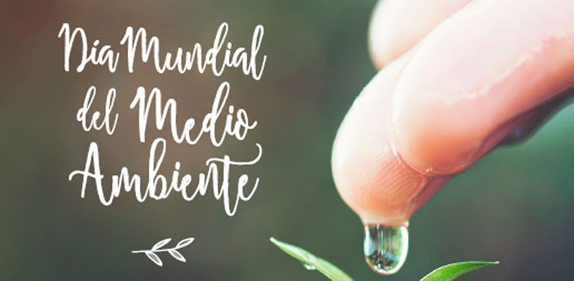 Día Mundial del Medio Ambiente