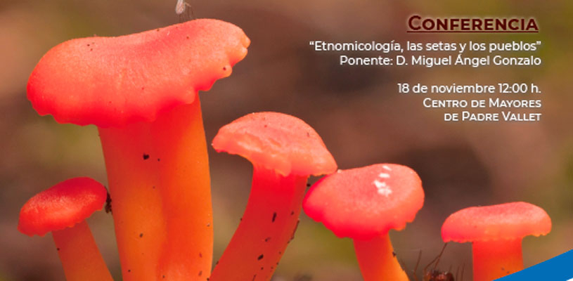Cartel Jornadas micológicas