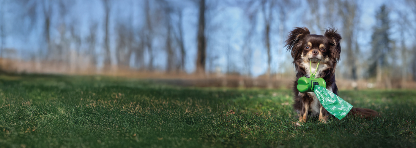Campaña de recogida de excrementos caninos