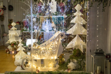 Primer premio escaparatismo 2018