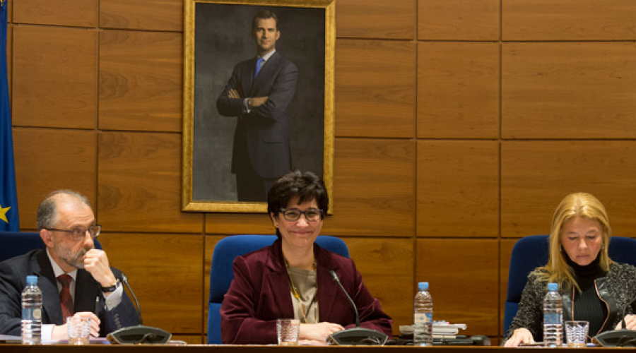 Pleno del mes de febrero de 2016