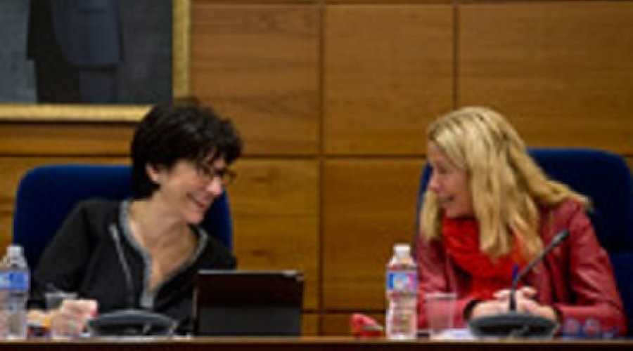 Sesión plenaria del mes de diciembre de 2016 (Se abre en ventana nueva)