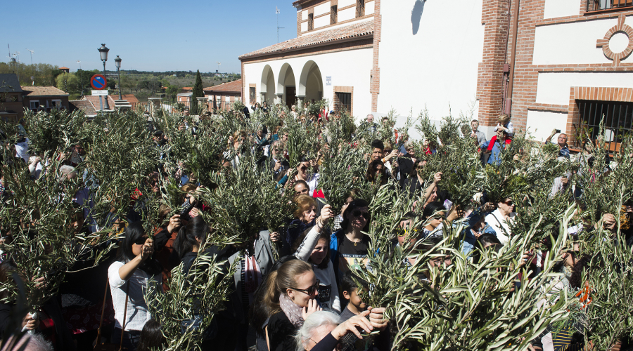Procesión del Domingo de Ramos