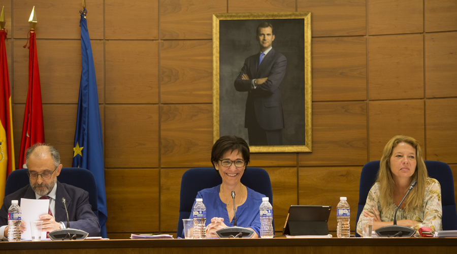 Sesión plenaria del mes de junio