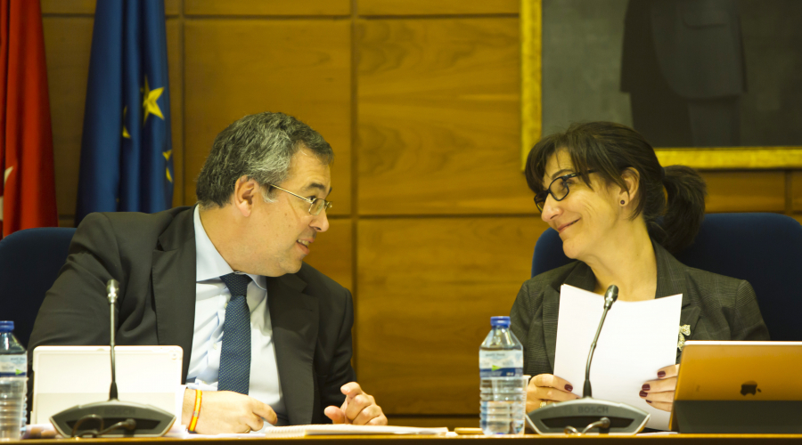 Pleno del mes de enero de 2018