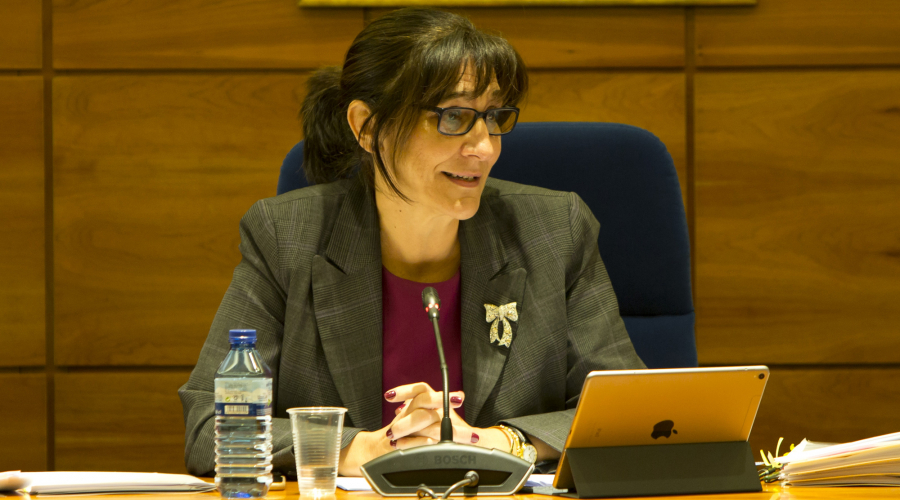 La alcaldesa de Pozuelo de Alarcón, Susana Pérez Quislant, en el Pleno celebrado el 25 de enero