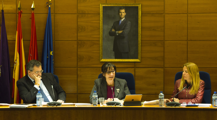 Sesión plenaria del mes de enero