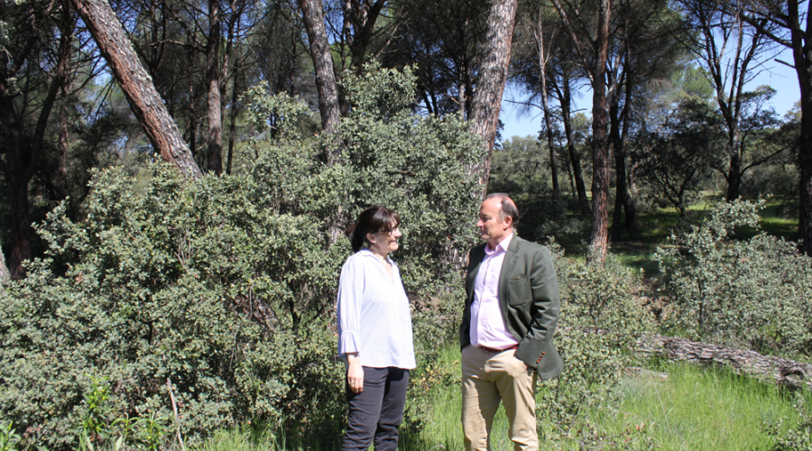 La alcaldesa de Pozuelo de Alarcón visita la Finca El Maisán