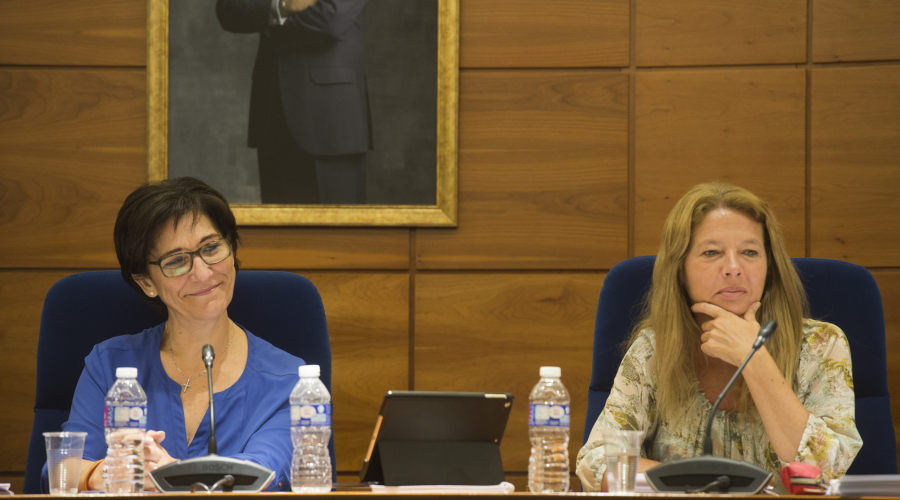 La alcaldesa durante una sesión de pleno