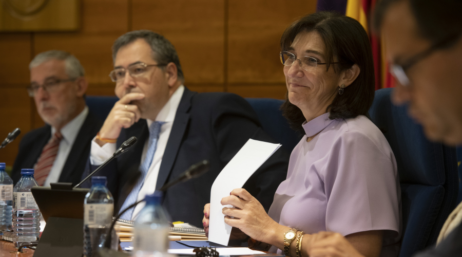 Sesión pleno de julio