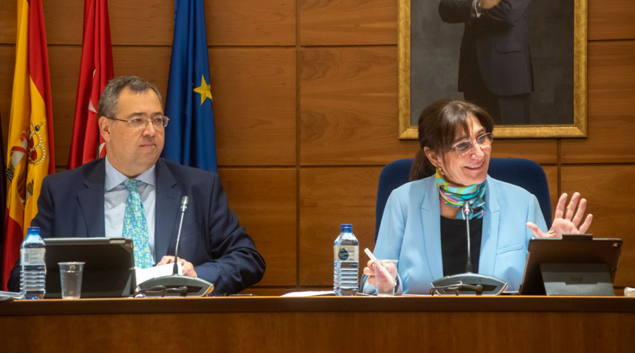 La alcaldesa, Susana Pérez Quislant durante la sesión del Pleno del mes de enero