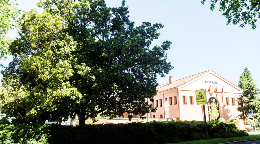 sala educarte
