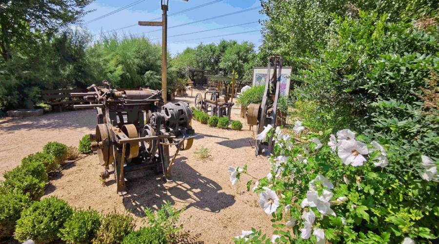 El jardín de los orígenes