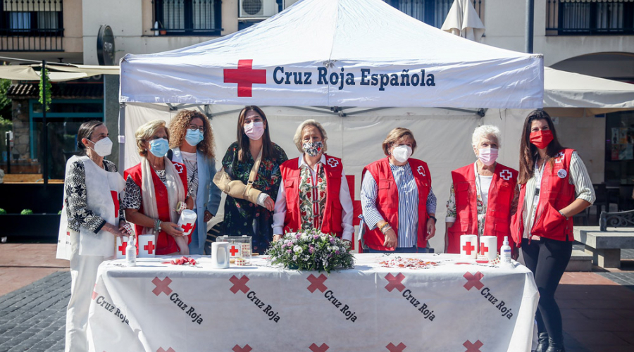Día de la Banderita