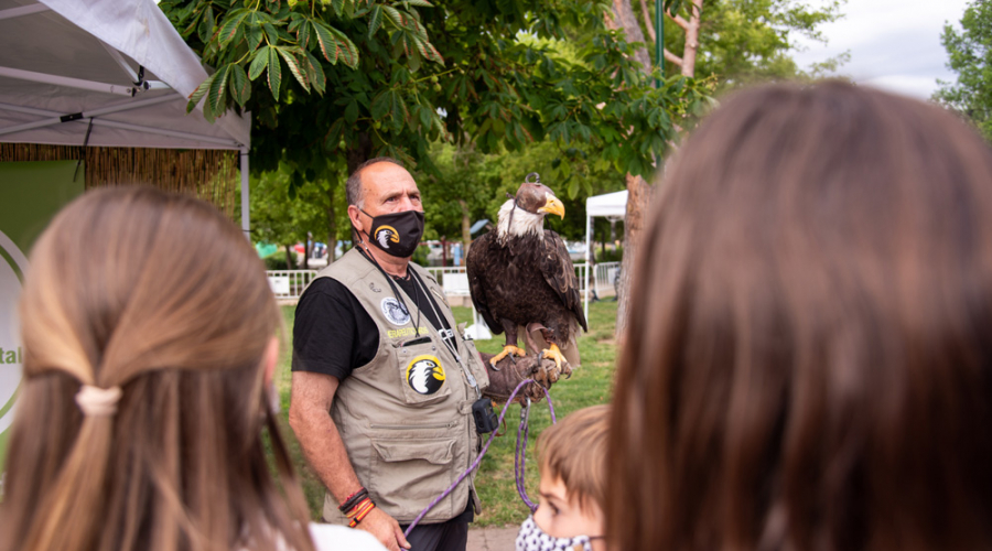 Pozuelo celebra Día del Medio Ambiente