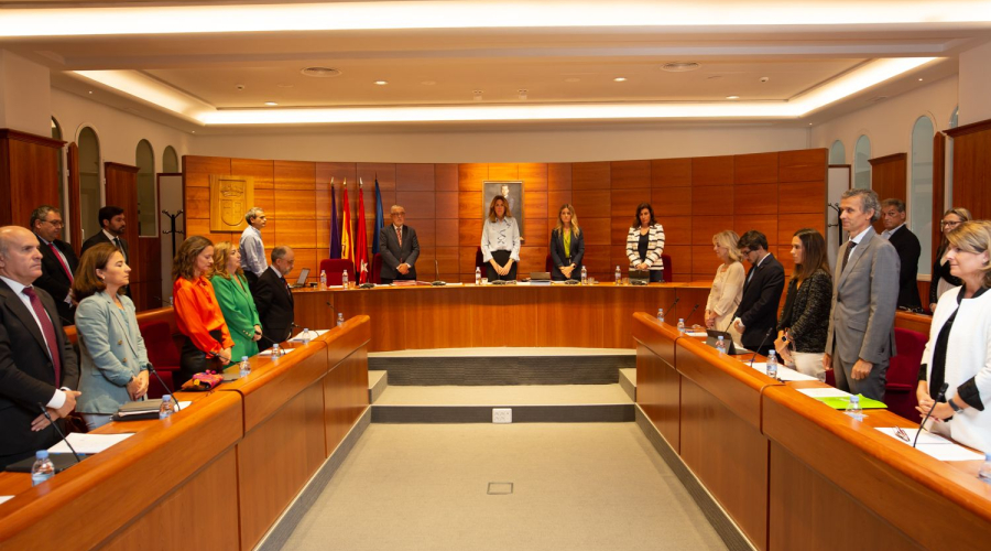 pleno pozuelo