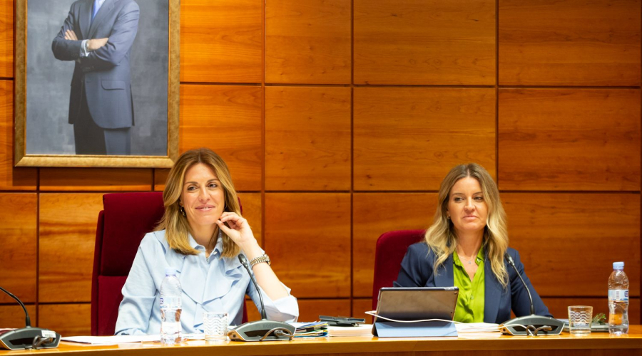 Un momento del Pleno