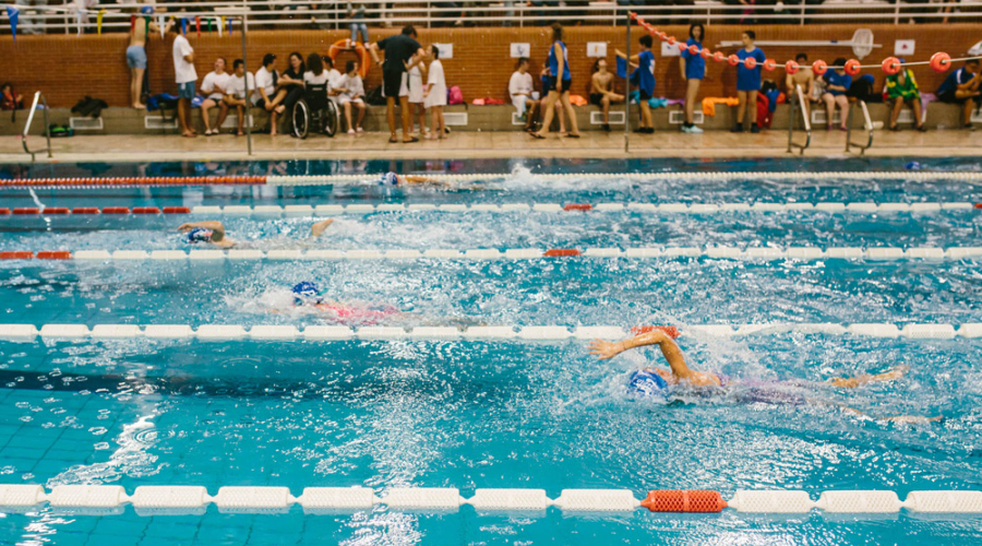 Torneo de natación