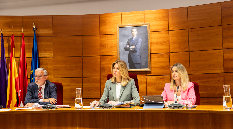 Sesión plenaria del mes de mayo de 2024