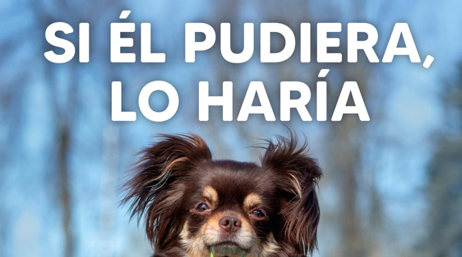 Campaña de vigilancia y sensibilización para la recogida de excrementos caninos