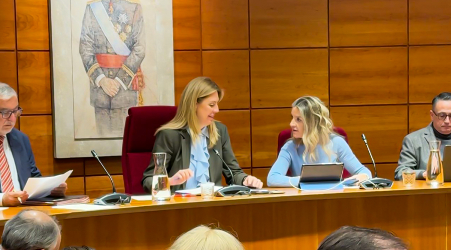 Foto del pleno extraordinario para aprobar presupuestos 2026