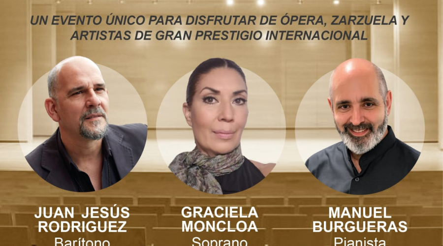 Cartel Concierto solidario AMASUVE