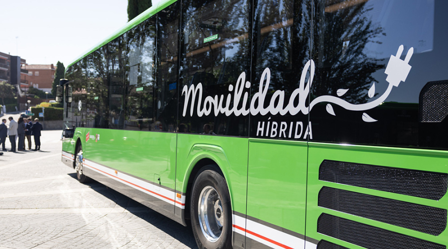 Autobuses