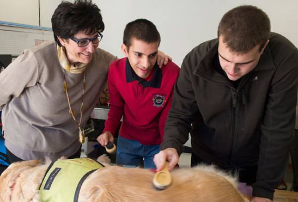 taller de intervención asistida con perros (Se abre en ventana nueva)