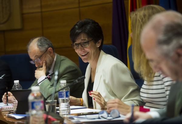 Imagen del pleno del 16 de marzo de 2017