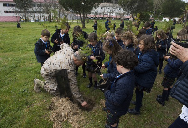 Plantación de árboles