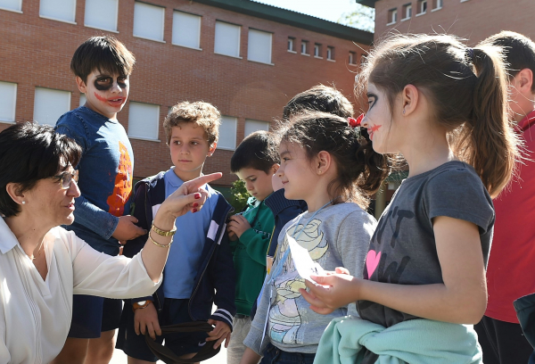 Campamentos de verano