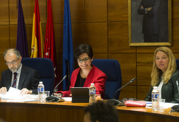 Sesión plenaria del 20 de abril de 2017