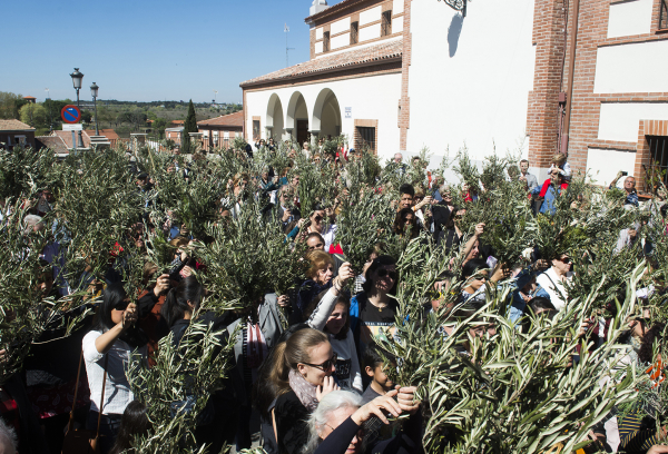 Procesión del Domingo de Ramos