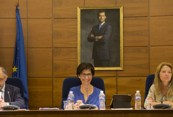 Sesión plenaria del mes de junio