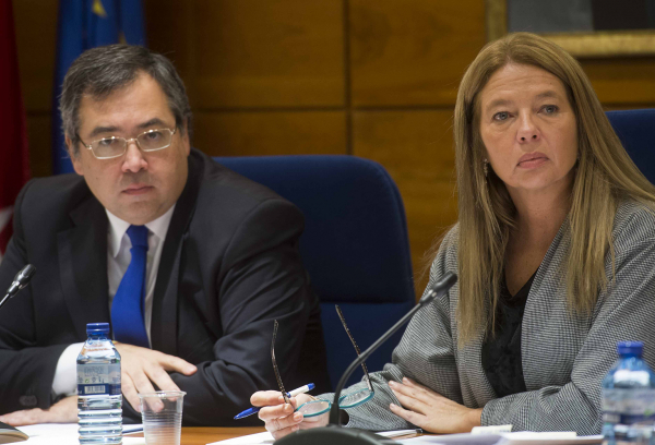 Pleno del 23 de noviembre de 2017