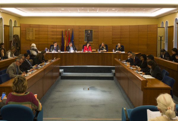 Imagen del pleno de diciembre