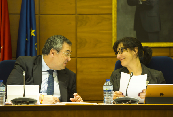 Pleno del mes de enero de 2018