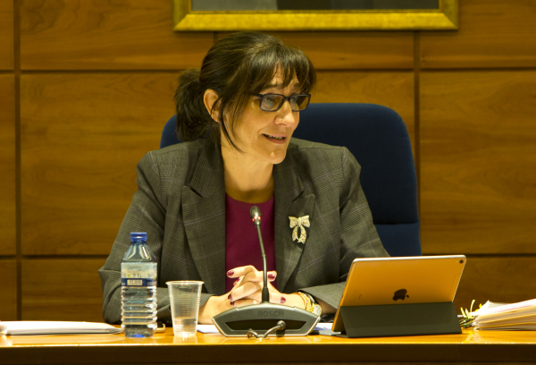 La alcaldesa de Pozuelo de Alarcón, Susana Pérez Quislant, en el Pleno celebrado el 25 de enero