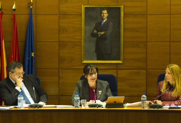 Sesión plenaria del mes de enero