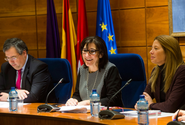 Sesión plenaria del mes de febrero de 2018