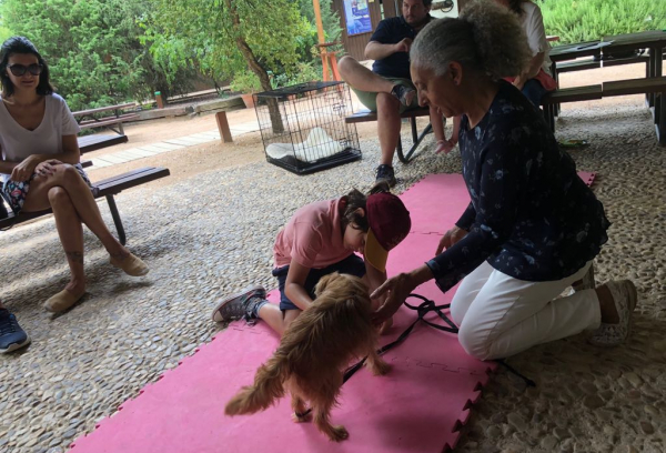 Primavera en el aula