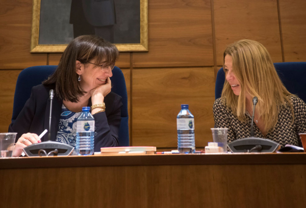 Pleno extraordinario del mes de diciembre