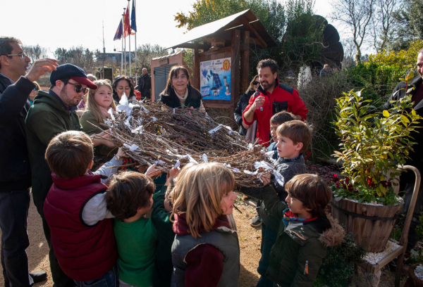 Construcción de nido de cigüeñas en el Aula de Eduación Ambiental